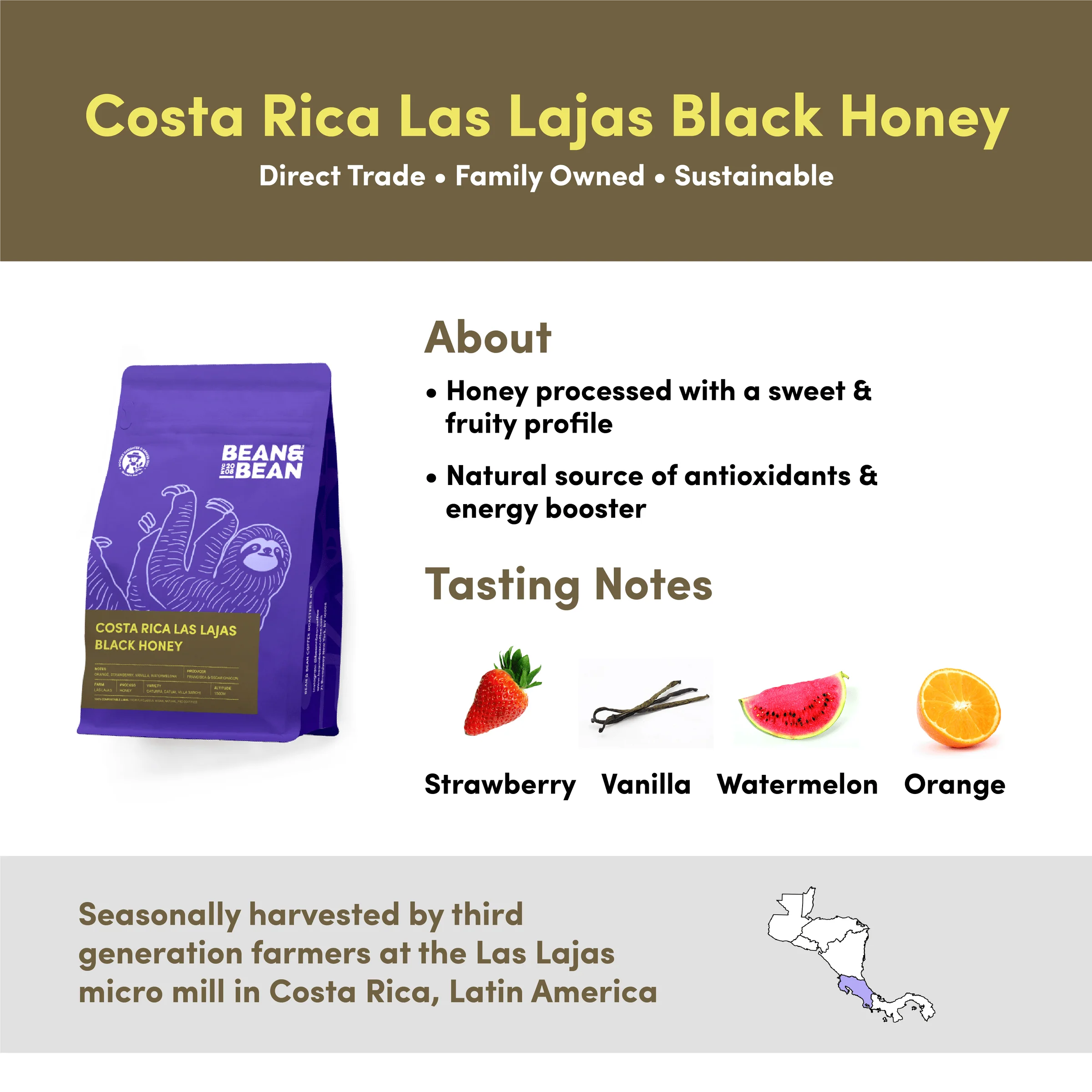 Costa Rica Las Lajas Black Honey - Image 3