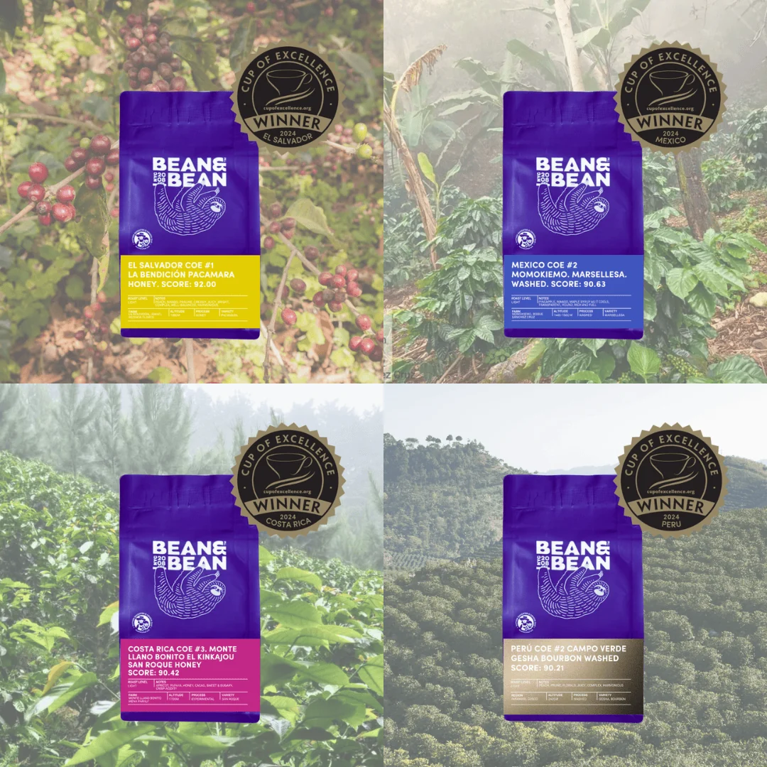 Cup of Excellence Sampler Box: Mexico, Peru, El Salvador, Costa Rica