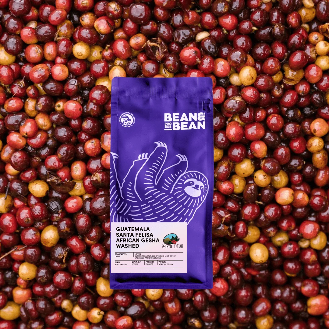 Guatemala Santa Felisa African Gesha Washed
