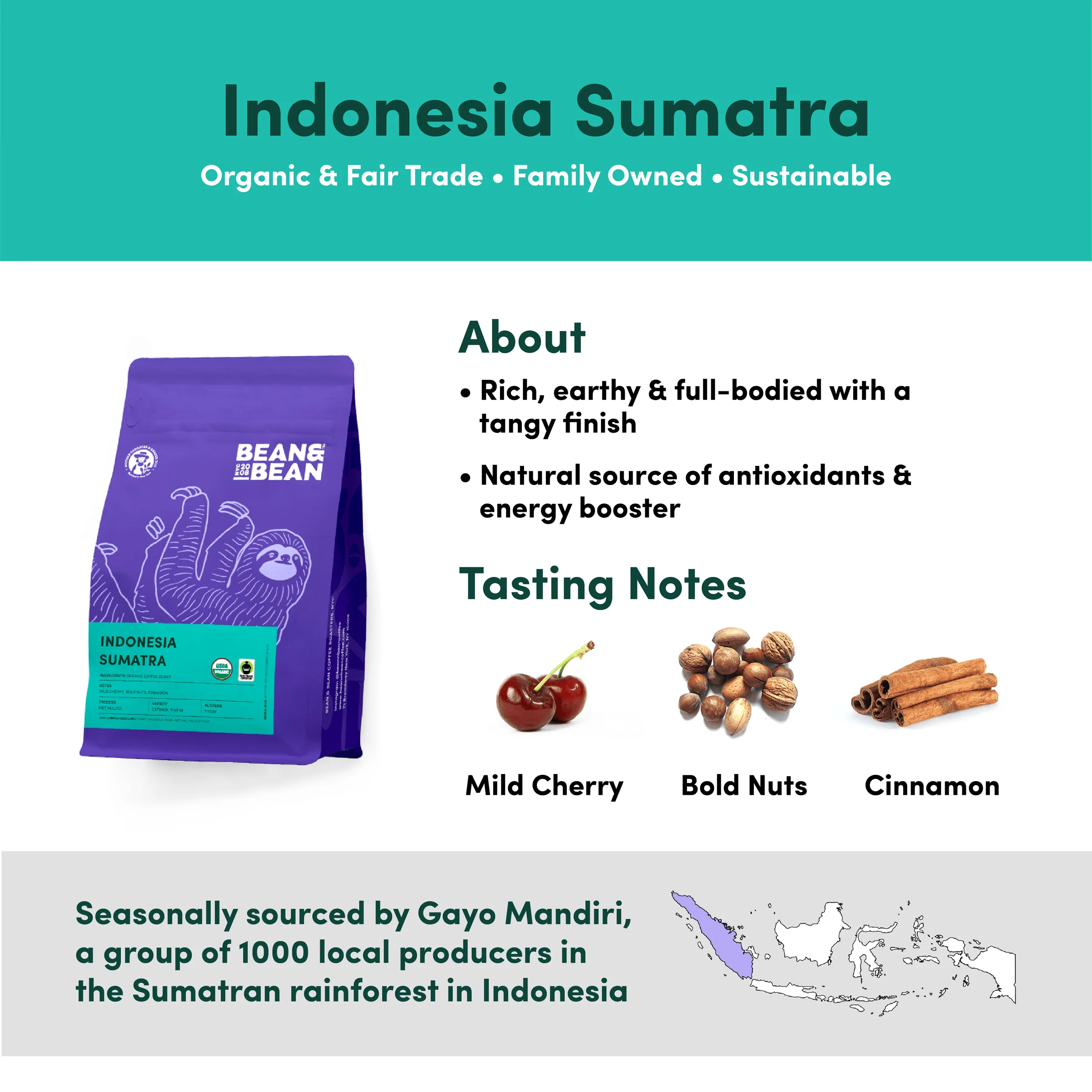 Indonesia Sumatra, Organic & Fair Trade - Image 3