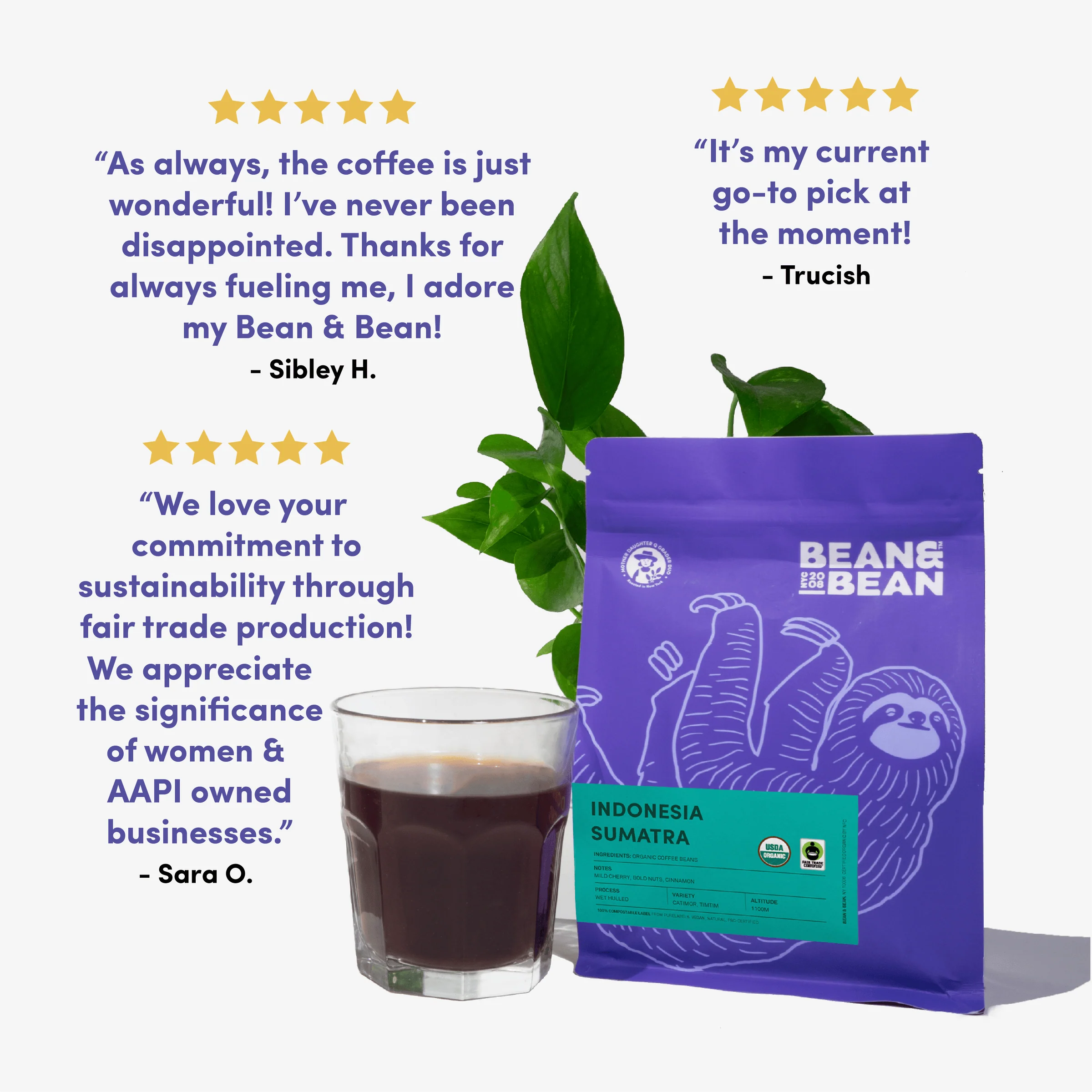 Indonesia Sumatra, Organic & Fair Trade - Image 5