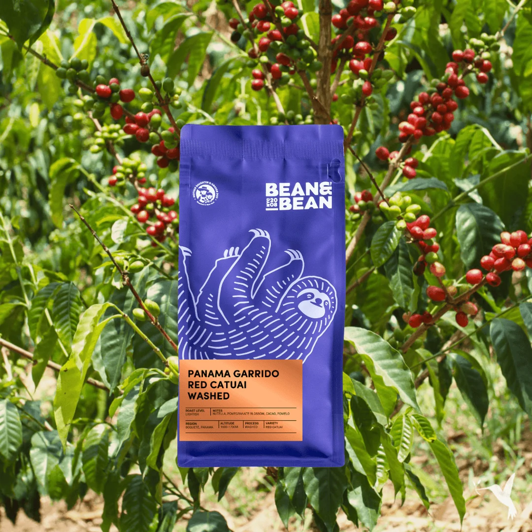 Panama Garrido Red Catuai Washed