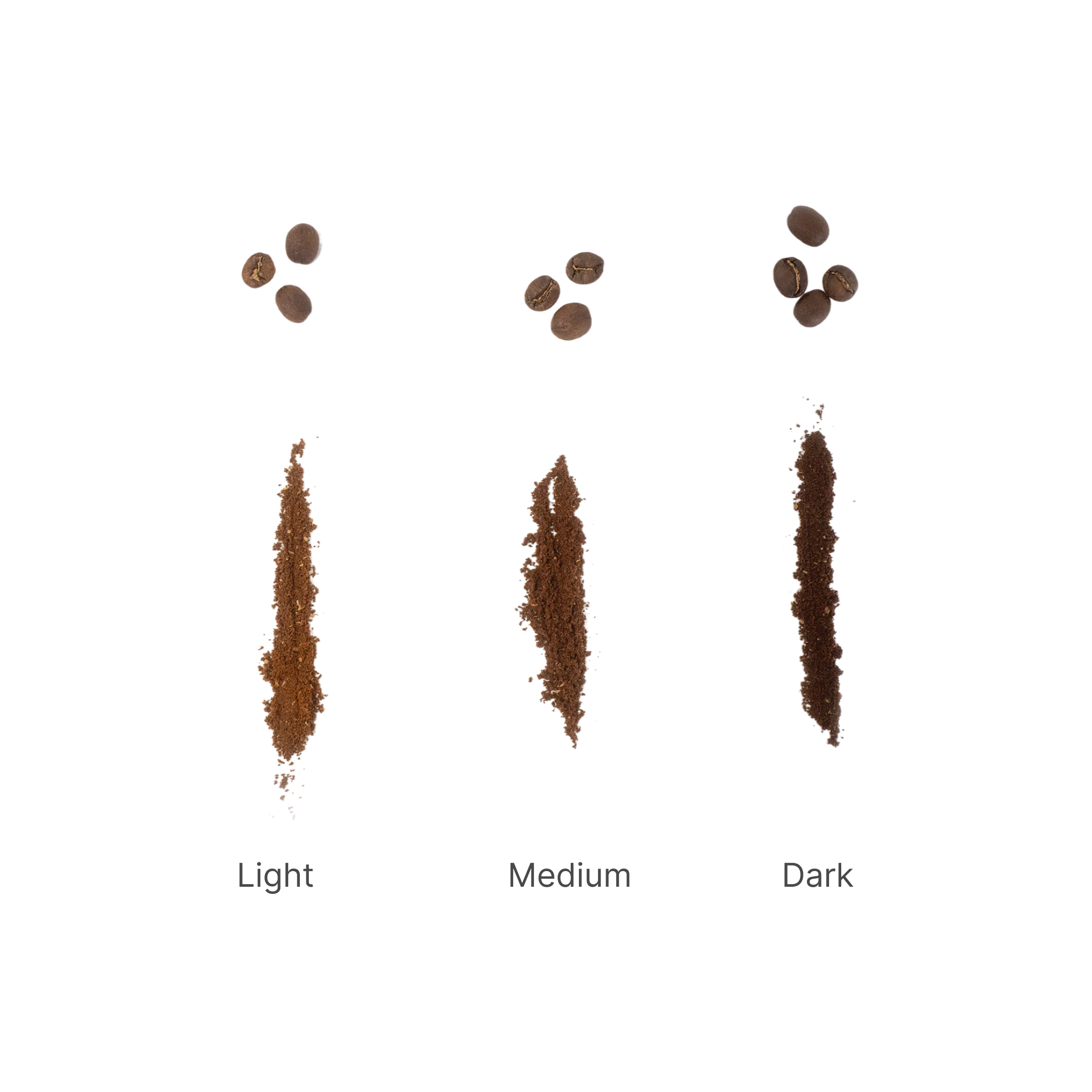 Roast Level Tasting Set - Kenya Yara AB Washed - Image 3